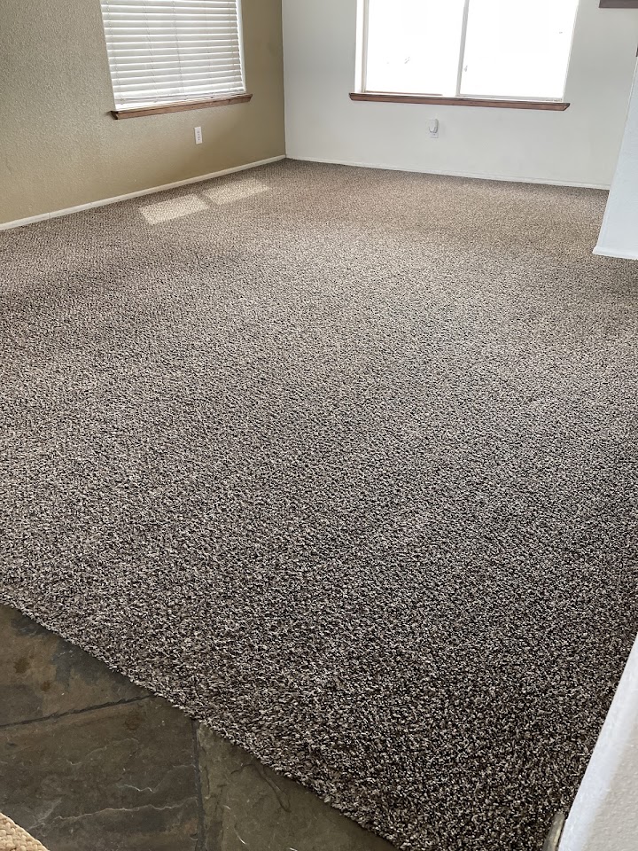 Mr. Carpet Cleaner project