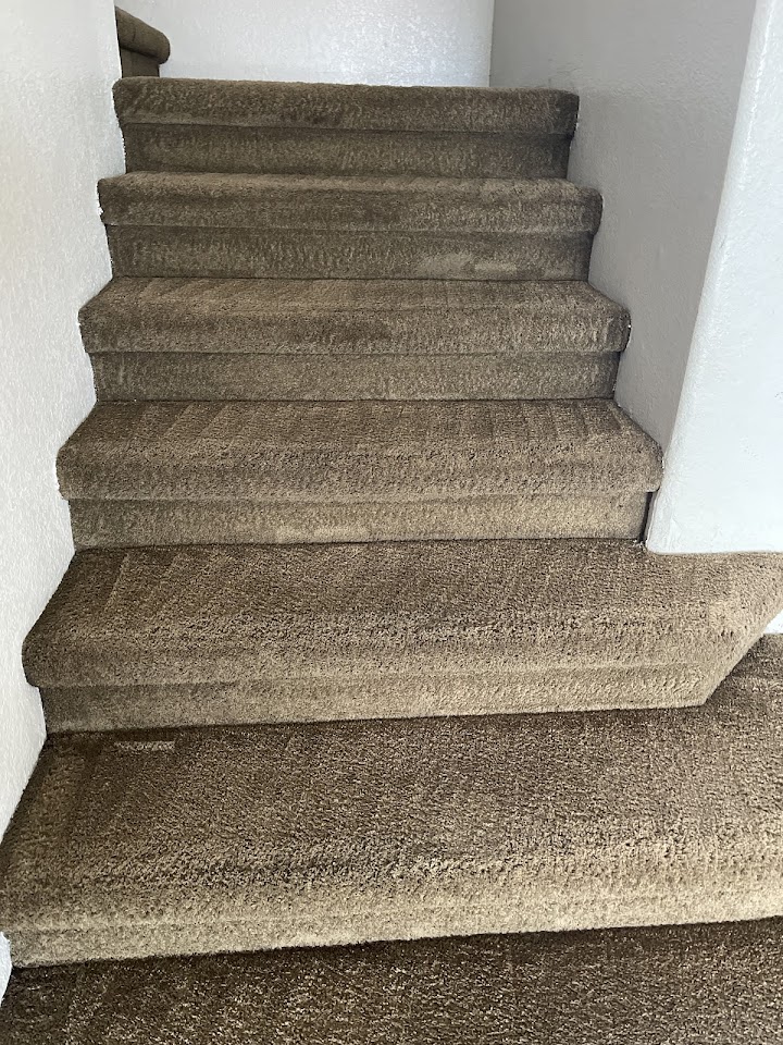 Mr. Carpet Cleaner project